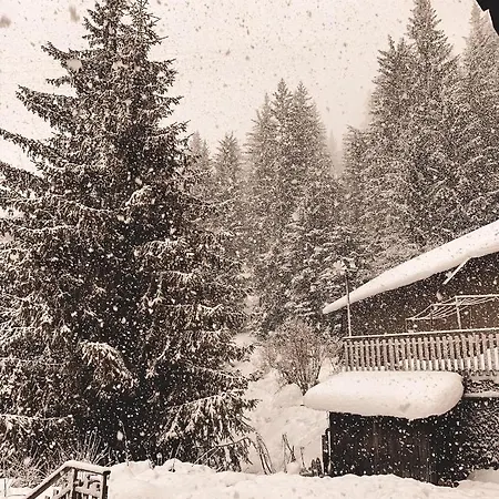 Garni Monika Frühstückspension