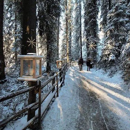 Frühstückspension Garni Monika