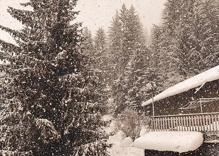 Garni Monika Bed & Breakfast